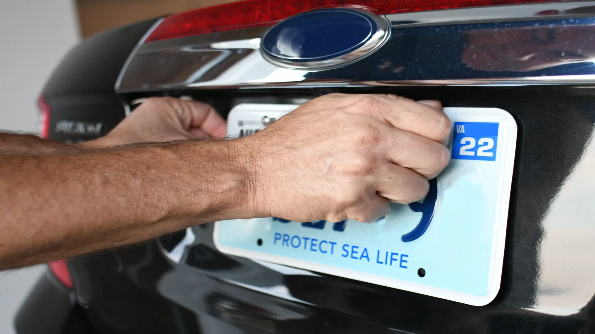 Vehicle registration license plate being attached