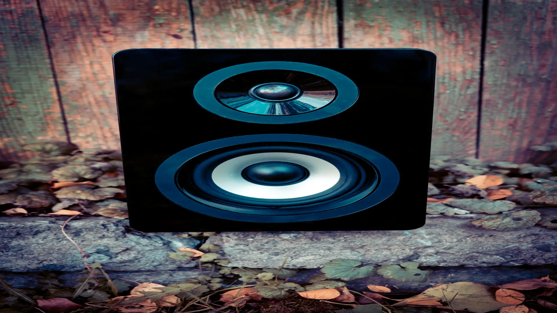 Professional loudspeaker system