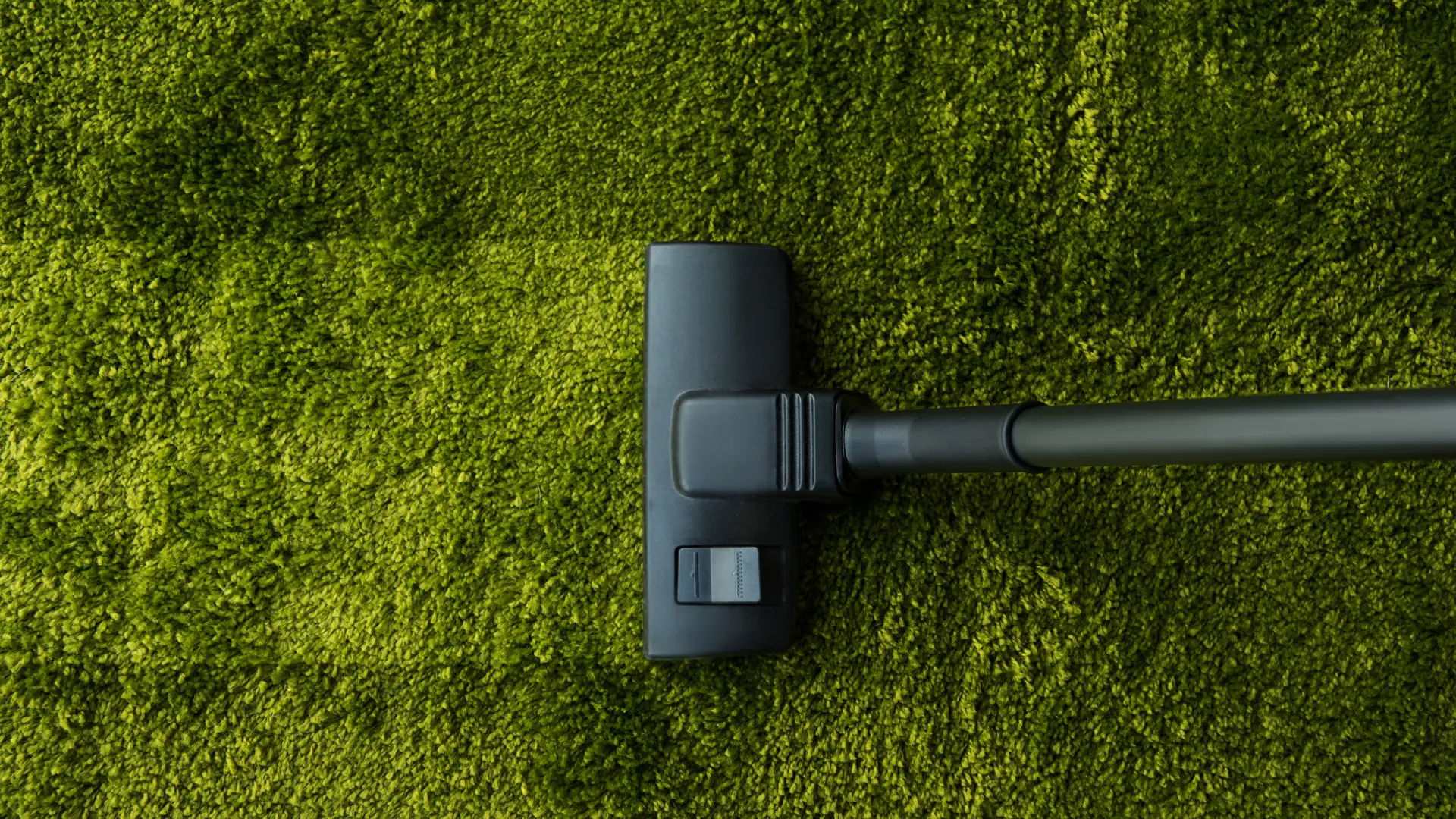 Top view of vacuum cleaner cleaning green carpet